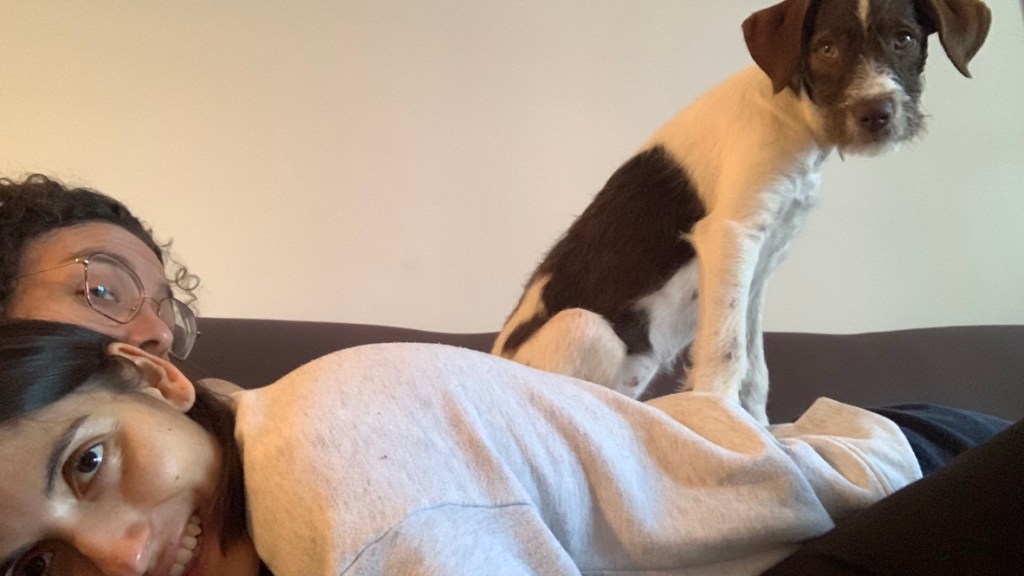 Mutti the dog